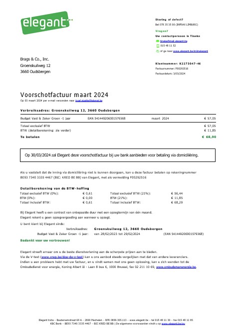 Belgium Elegant business utility bill Word and PDF template PSD template